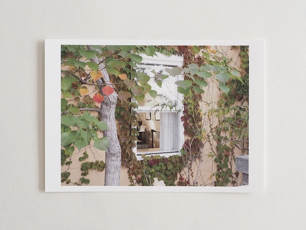 ポストカード 写真 No.14 秋 自然 ガーデン