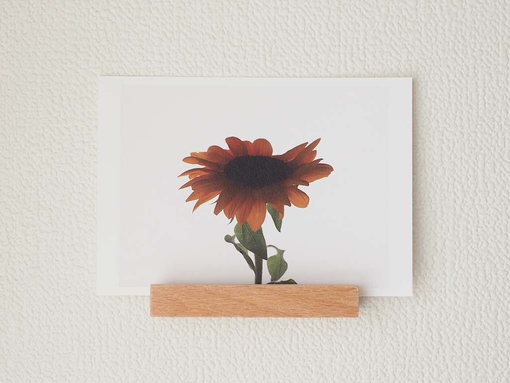 ポストカード 写真 No.24 向日葵 黄色い花 植物