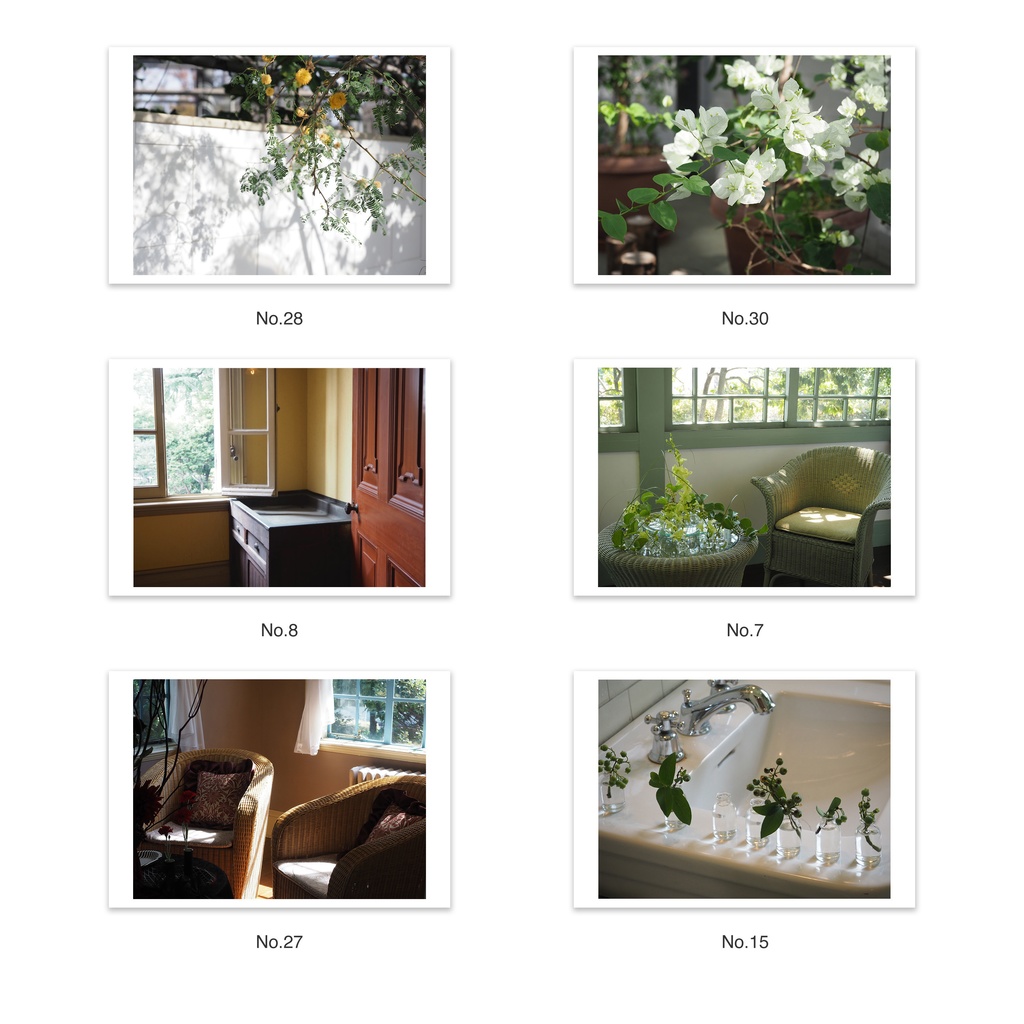 選べる5枚セット | ポストカード 写真 | 風景 花・植物 建築 抽象