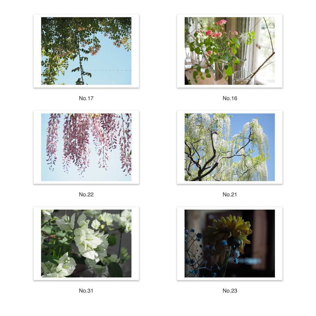 選べる5枚セット | ポストカード 写真 | 風景 花・植物 建築 抽象