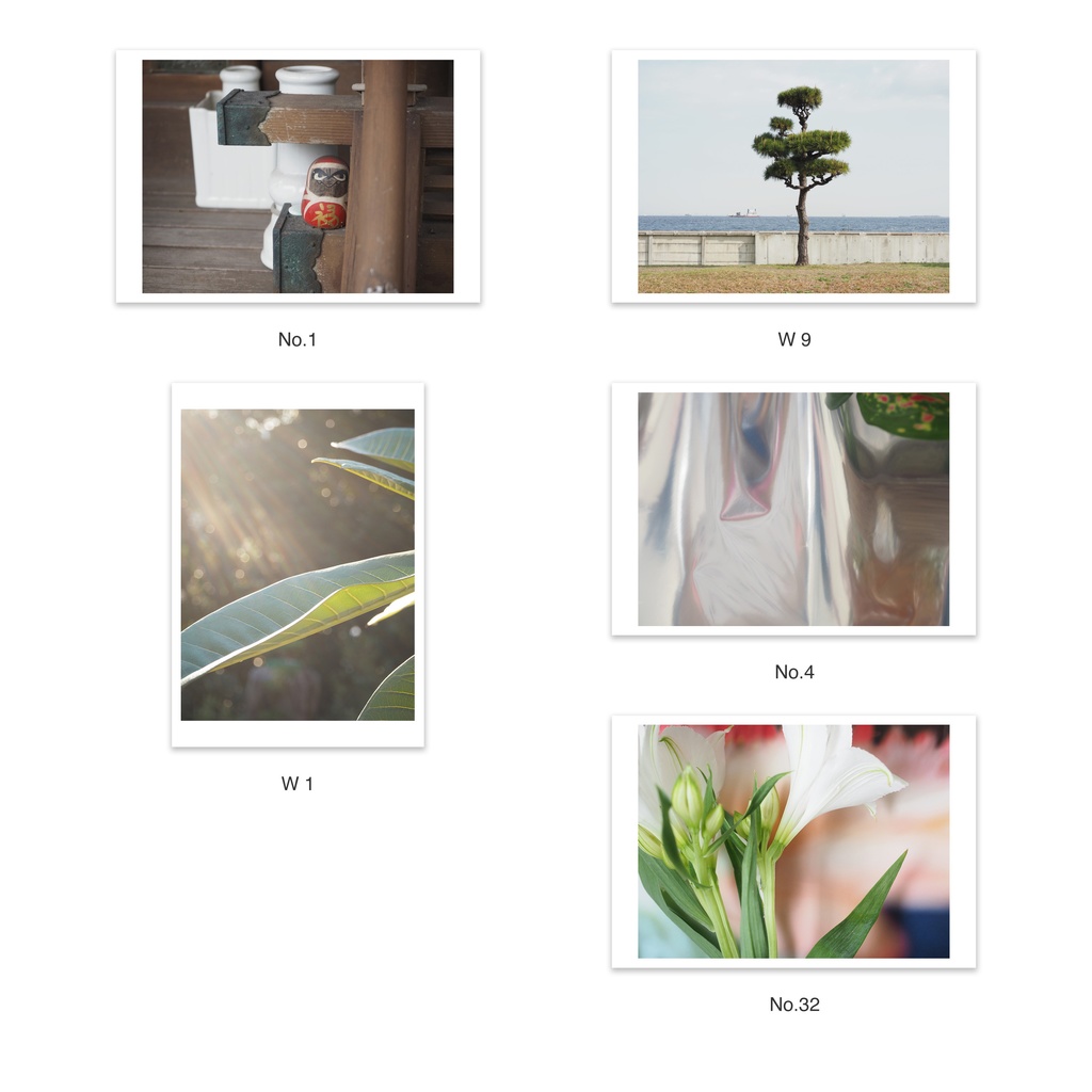 選べる5枚セット | ポストカード 写真 | 風景 花・植物 建築 抽象