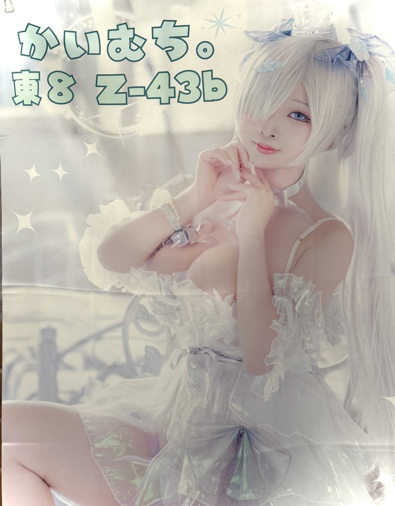 1枚限定❣️C107 シンデレラA1布ポスター（サイン入り）