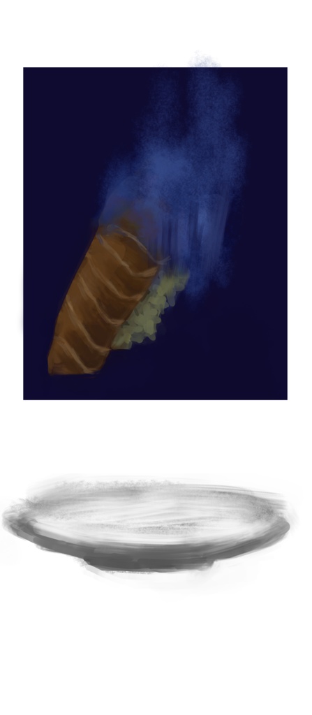 落下サーモンTシャツ小