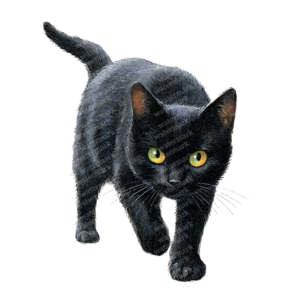 【商用利用可】黒猫の水彩クリップアート20点セット|高解像度・透過PNG|猫素材・ハロウィン・ペーパークラフト・ジャンクジャーナル素材