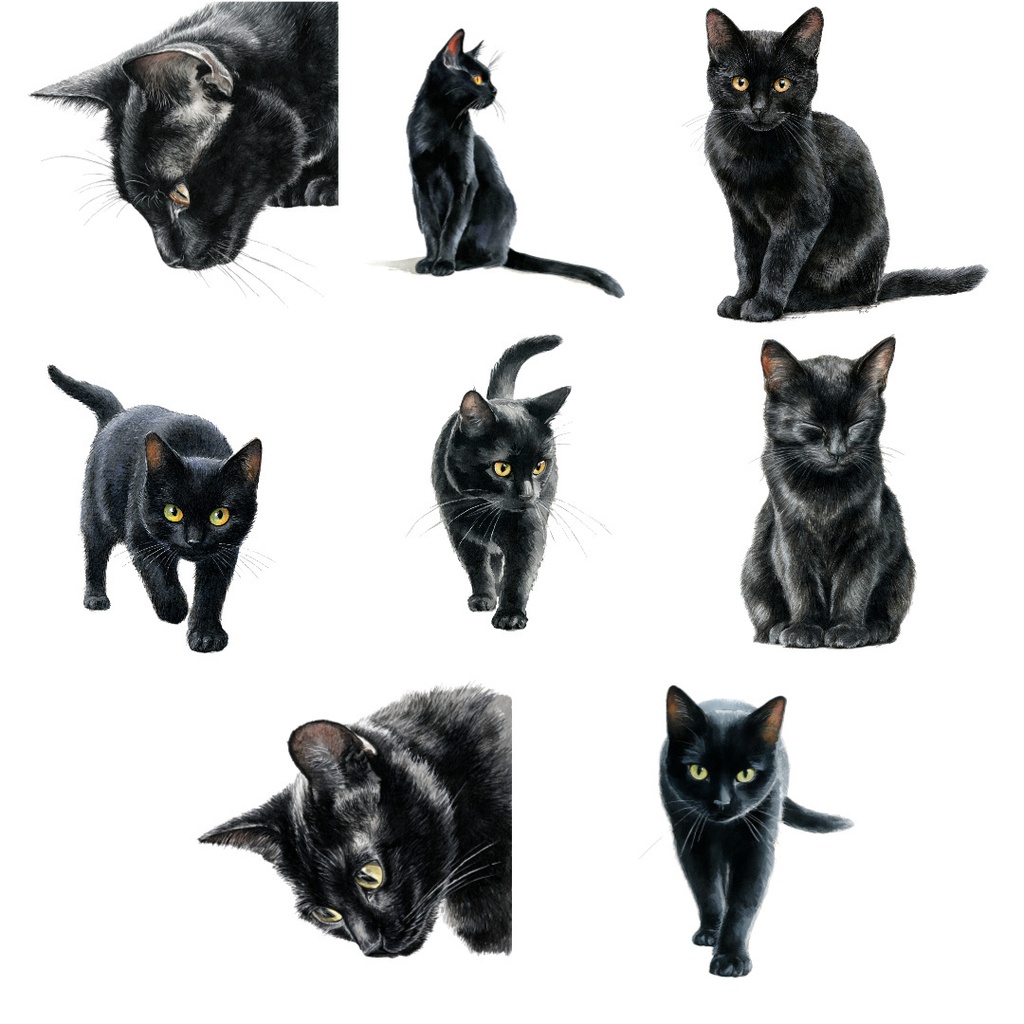 【商用利用可】黒猫の水彩クリップアート20点セット|高解像度・透過PNG|猫素材・ハロウィン・ペーパークラフト・ジャンクジャーナル素材