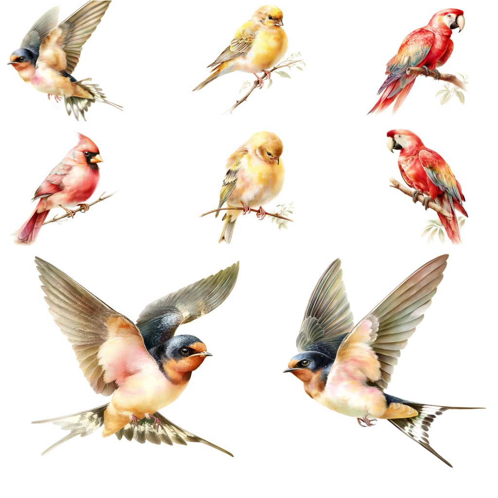 【商用利用OK】野鳥イラストPNG32点セット|水彩ボタニカル素材・ジャンクジャーナル向け