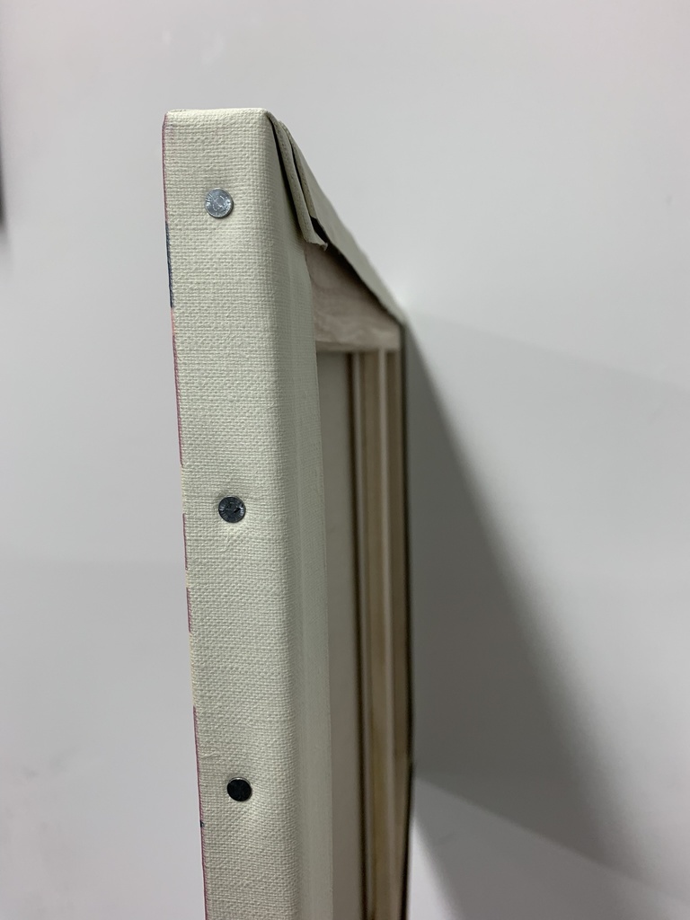 キャンバスイラスト作品「咲き誇る」