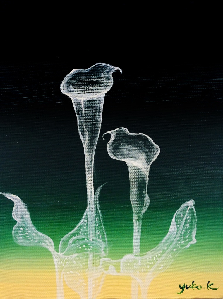 G-11 個性の花-カラー-