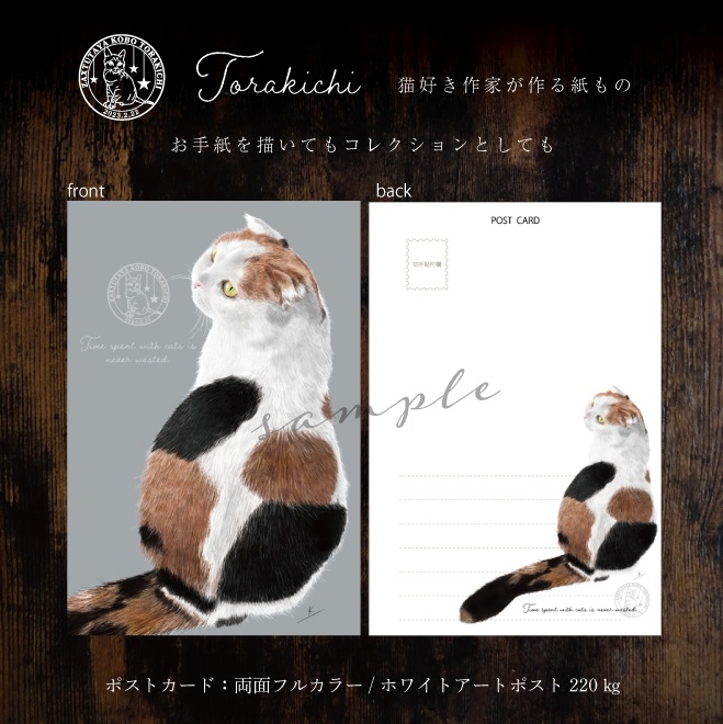 2025年フルセット