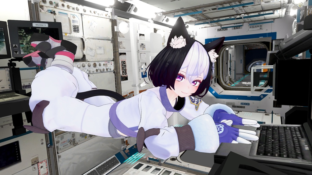 【3Dモデル】フェリセリア