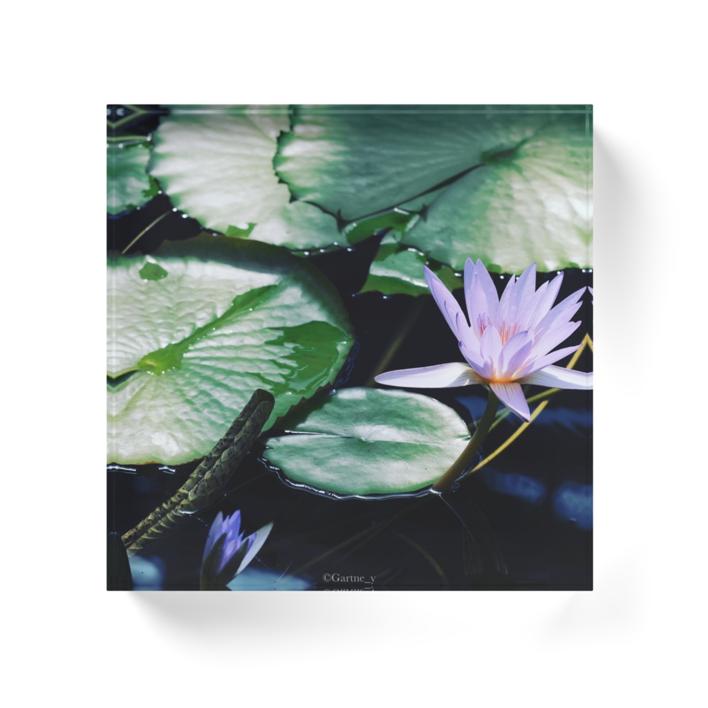 sommeil violet clair.