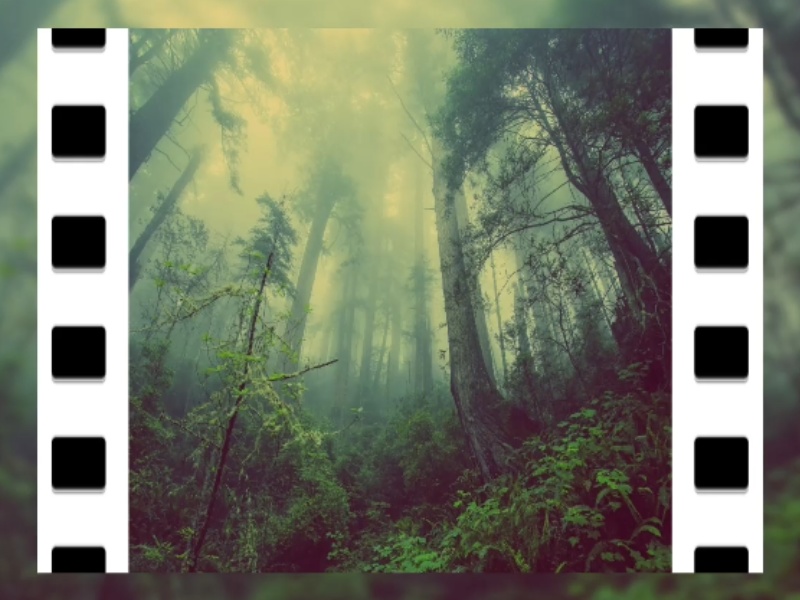 ココフォリア演出素材第9弾