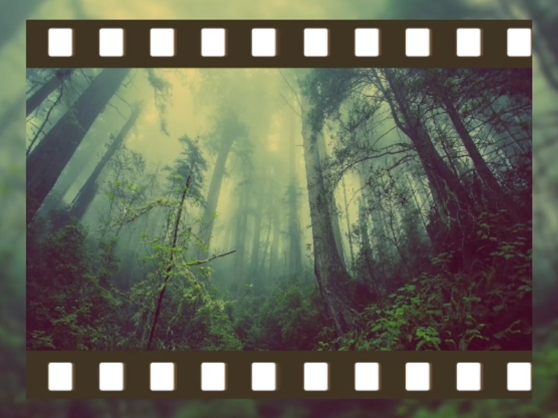 ココフォリア演出素材第9弾