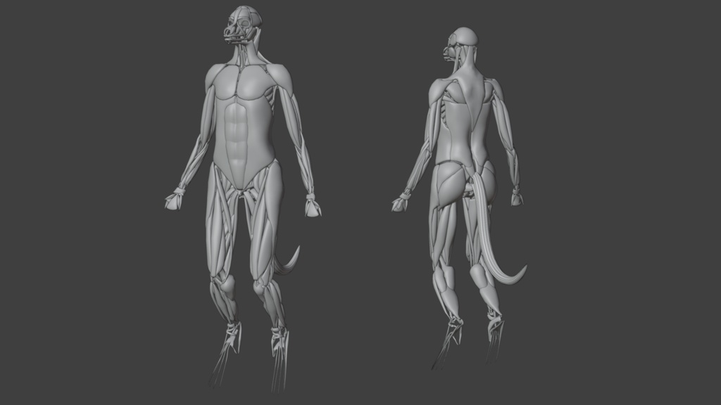 ハイブリッド解剖学モデル「Harmony:||」