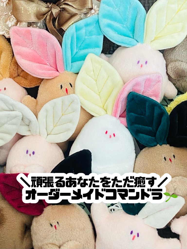オーダーメイドコマンドラ