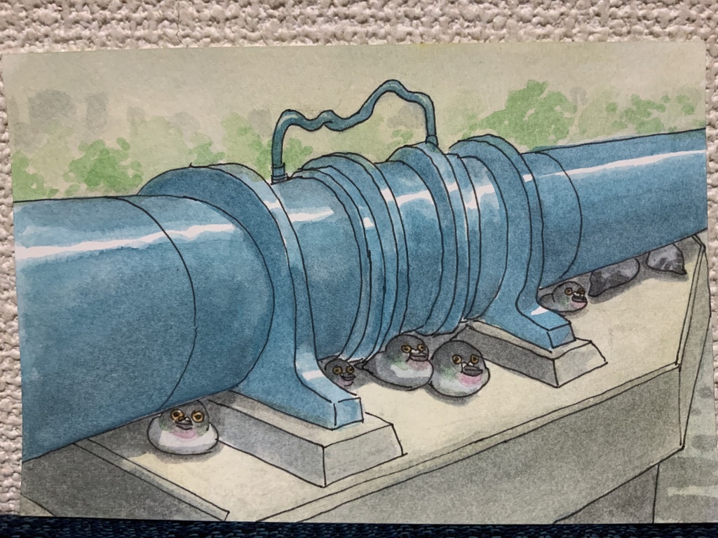 「日射しを避ける鳩」原画 ポストカードサイズ