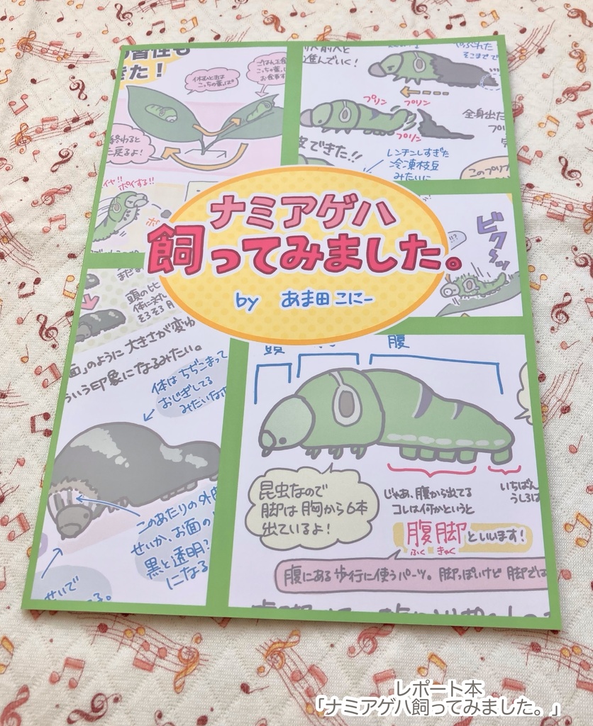 レポート本「ナミアゲハ飼ってみました。」