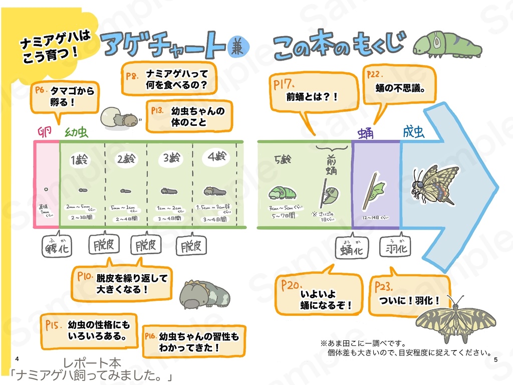 レポート本「ナミアゲハ飼ってみました。」