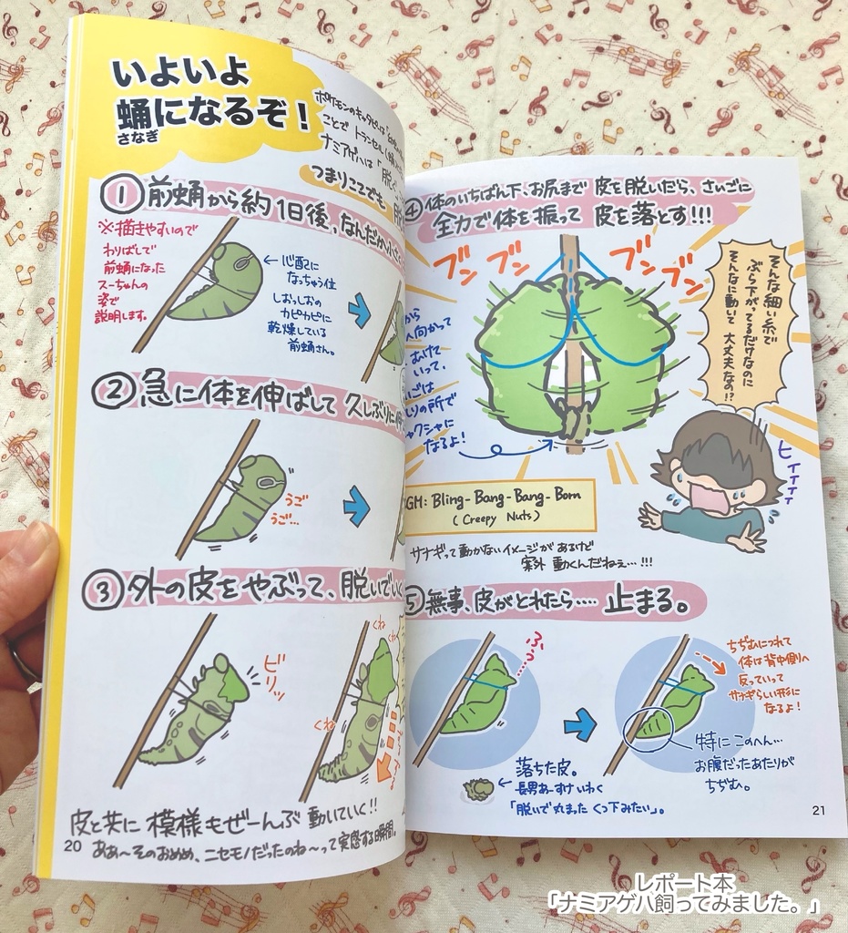 レポート本「ナミアゲハ飼ってみました。」