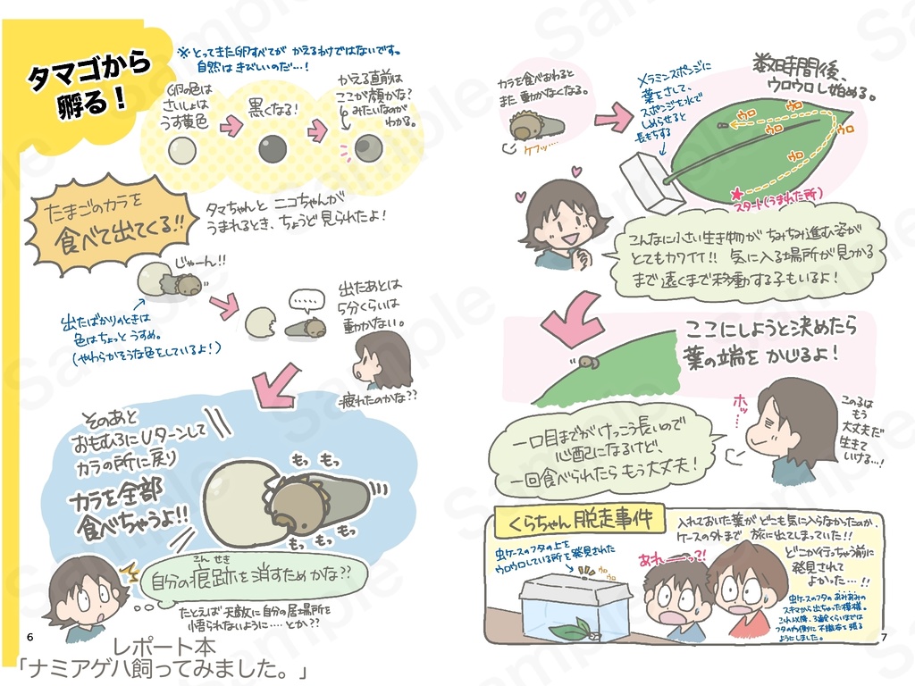 レポート本「ナミアゲハ飼ってみました。」