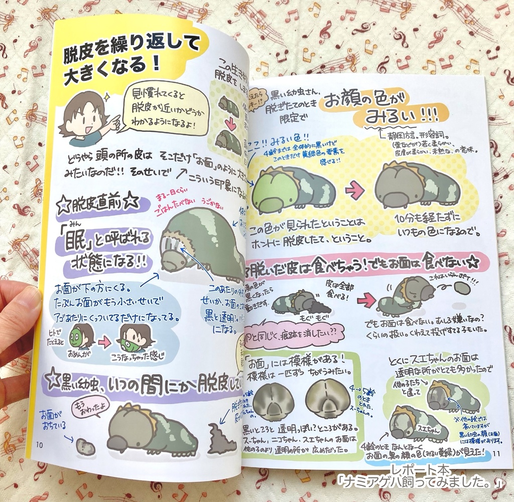 レポート本「ナミアゲハ飼ってみました。」
