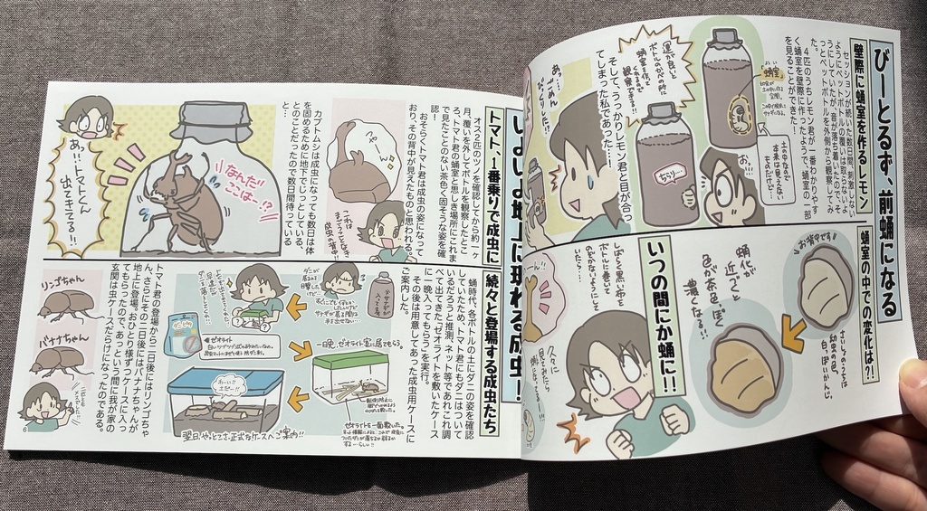 レポート本「かぶとむしんぶん」