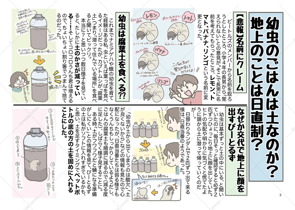 レポート本「かぶとむしんぶん」