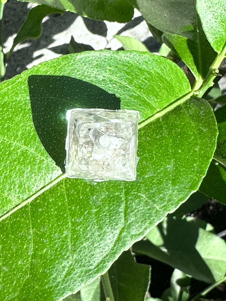 テトラポットキーキャップ