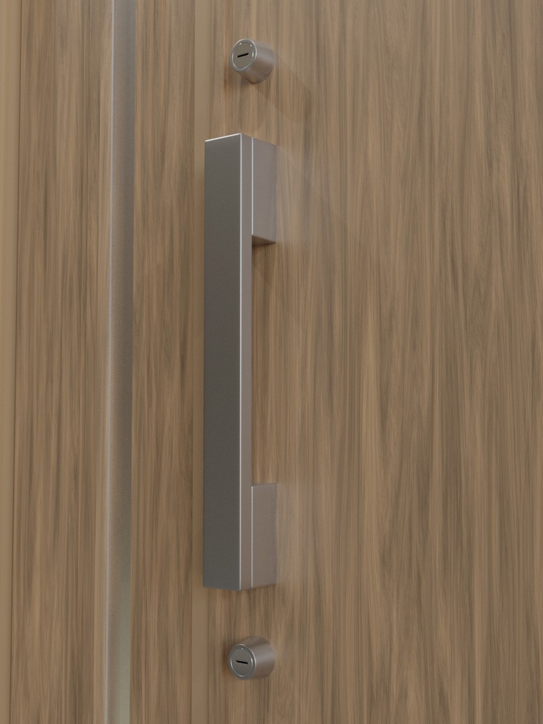 玄関ドア07(片袖欄間有り)