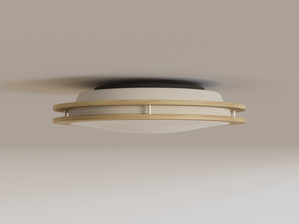 シーリングライト13