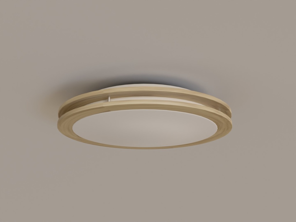 シーリングライト13