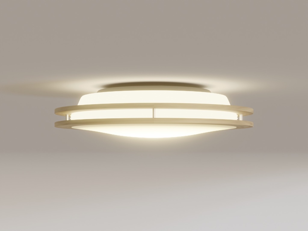 シーリングライト13