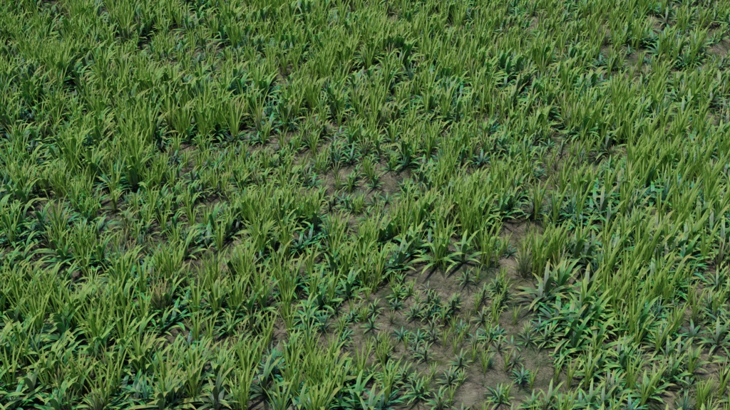 草_花_岩セット