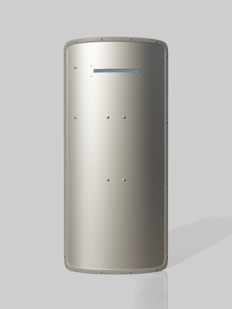 ライオットシールド