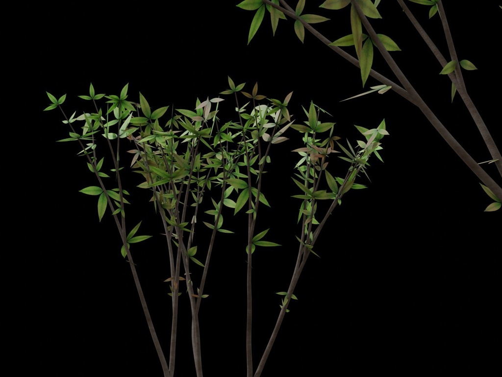 中木01(Geometry Nodes)