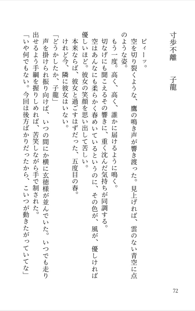 三国恋戦記オールキャラ合同誌『返恋歌―錦上添花―』