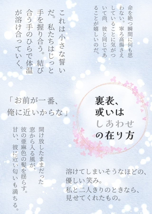 三国恋戦記魁オールキャラ短編集『裏表、或いはしあわせの在り方』