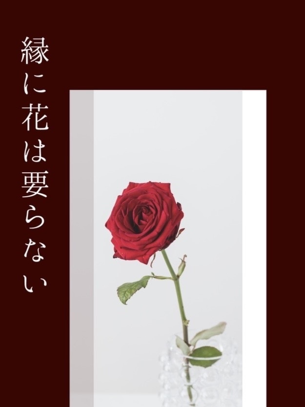 2/1新刊「縁に花は要らない」