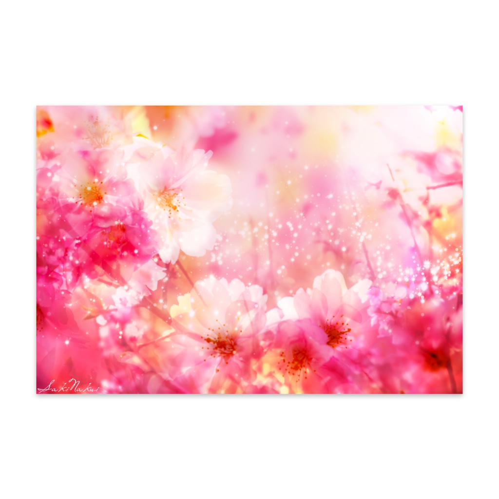 桜ポストカード(10枚セット)