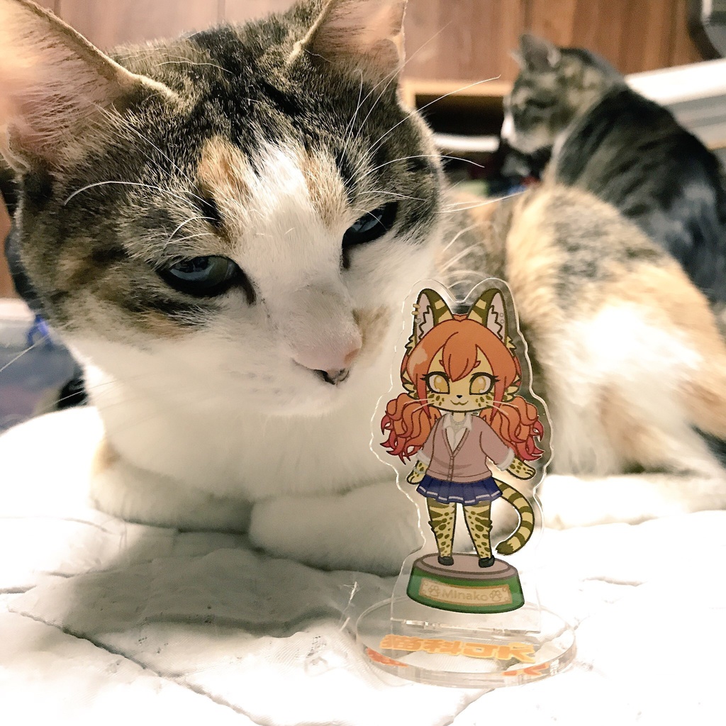 猫科JKアクリルフィギュア