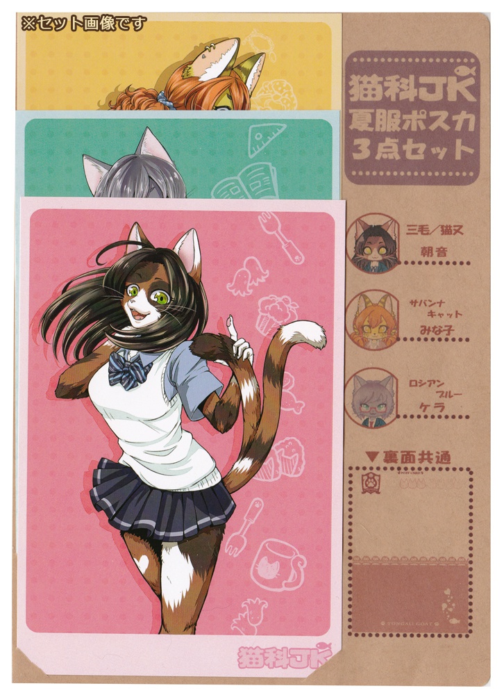 猫科JK◆夏期制服ポスカ