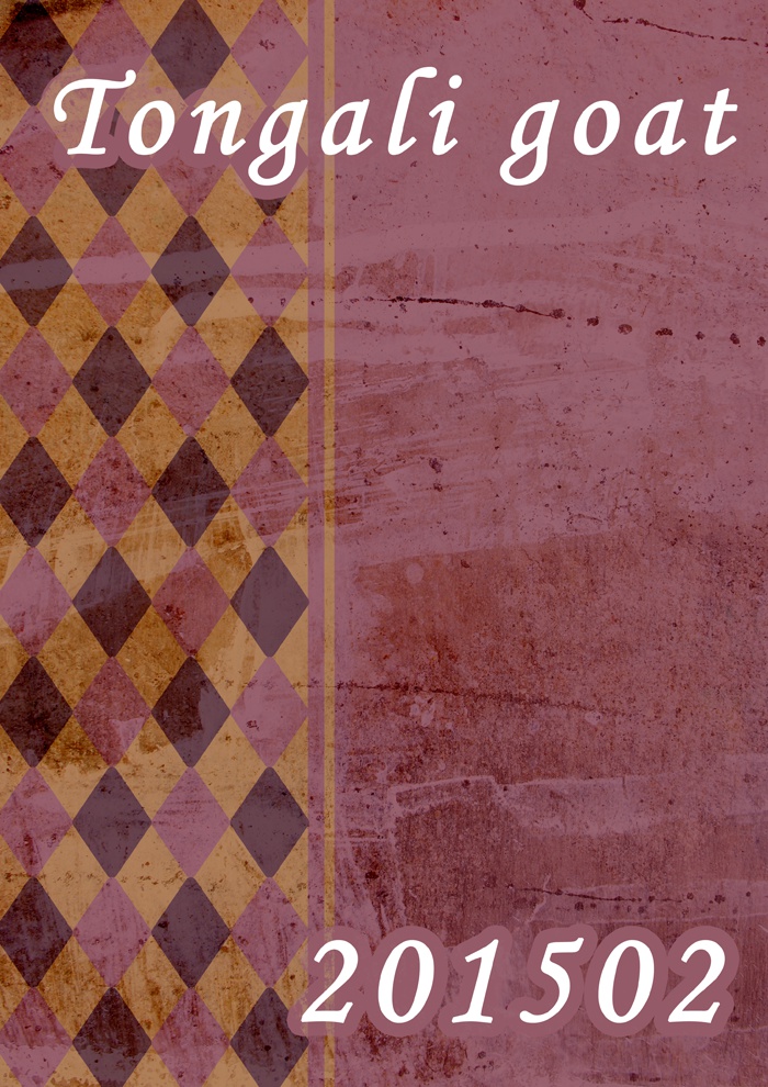 イラスト集『M*』