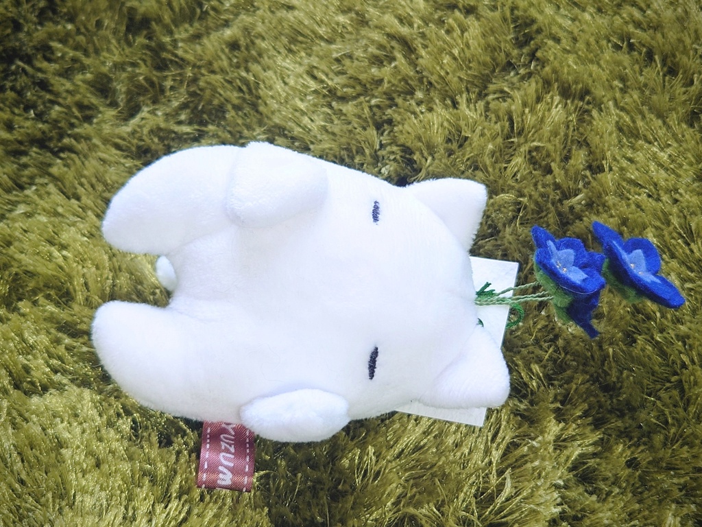 夜光マンドレイクぬい
