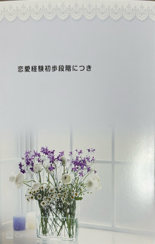 恋愛経験初歩段階につき