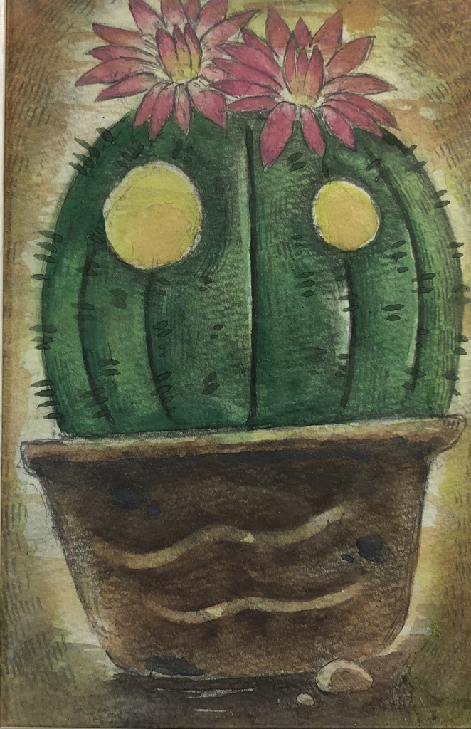 【原画】Cactus Flower ハガキサイズ
