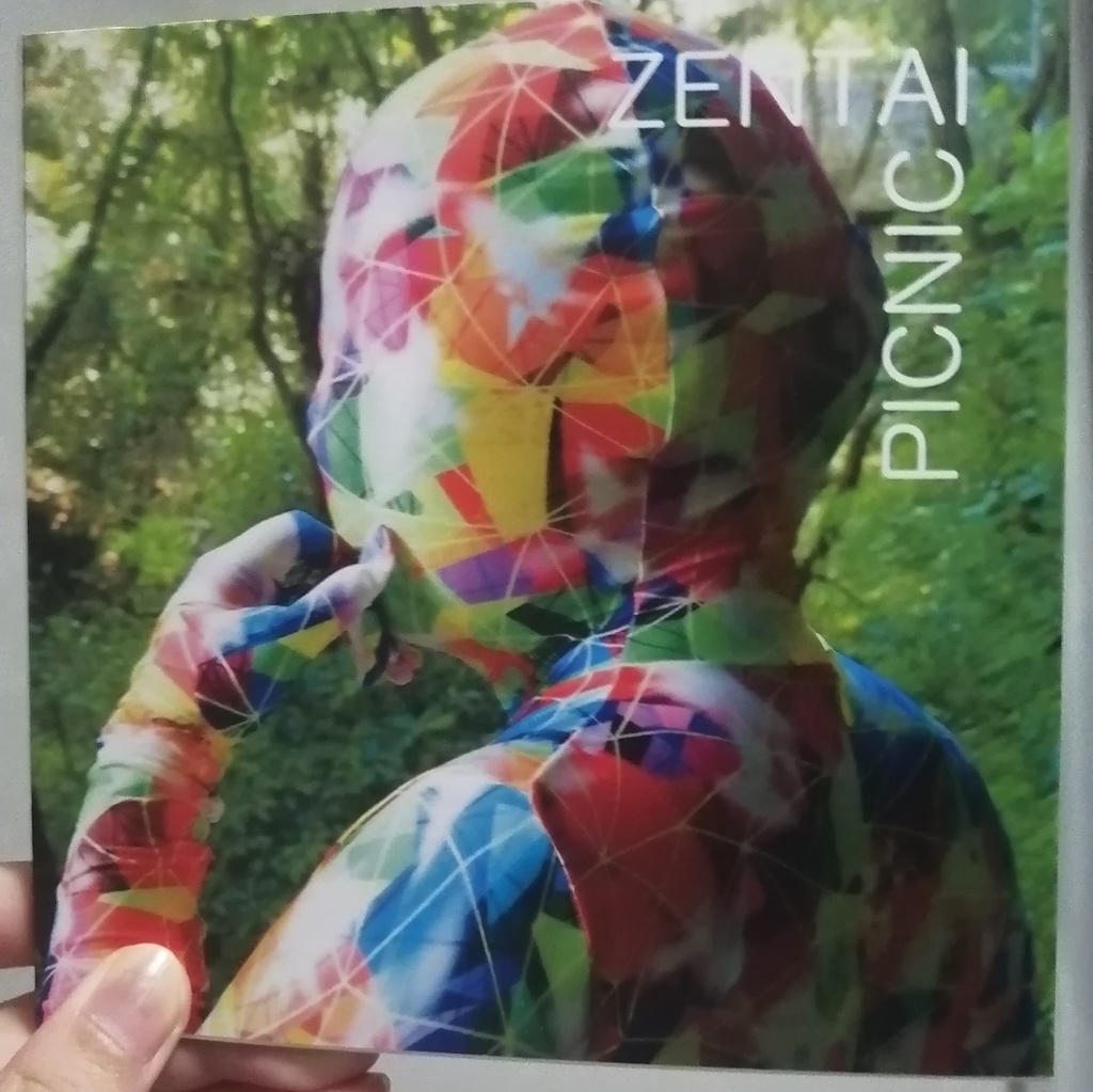 Zentai picnic写真集
