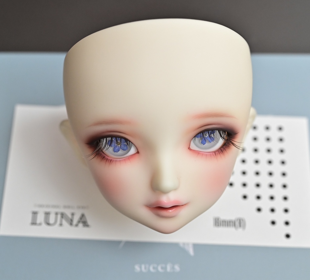 レジンアイ 16mm(8)No.181