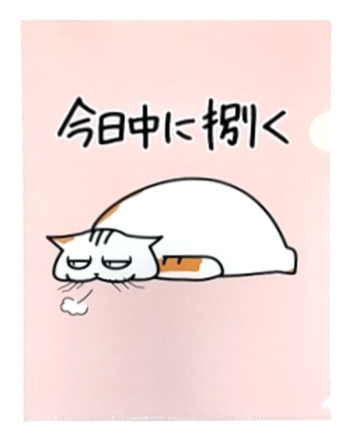 今日中に捌きたい書類用クリアホルダー
