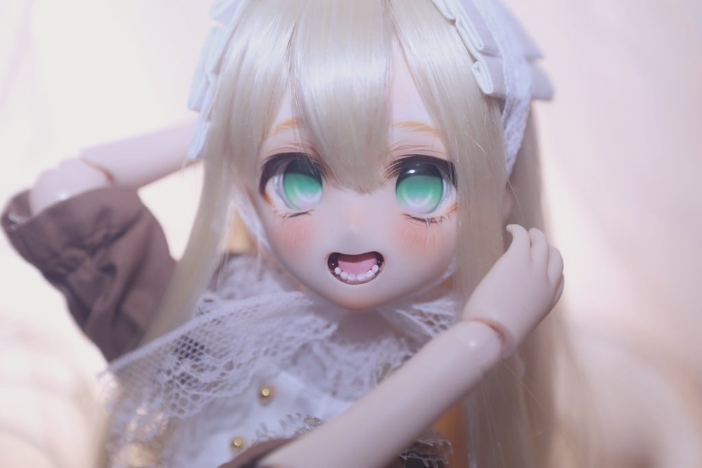 【展示のみ】カスタムヘッド【DDh-06】
