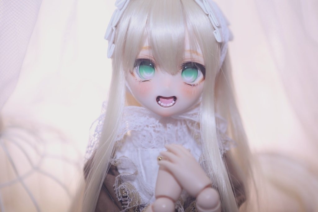 【展示のみ】カスタムヘッド【DDh-06】